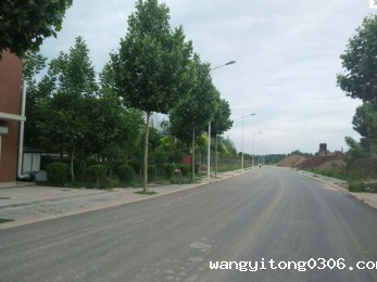 美陵路ky体育app平台